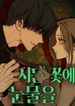 manga_10217_image