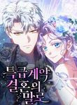 manga_11383_image