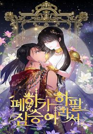 manga_11529_image